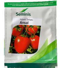 Tomato Ansal
